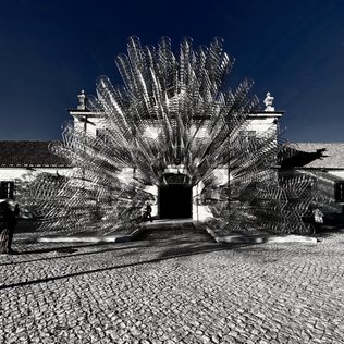 Forever Bicycles