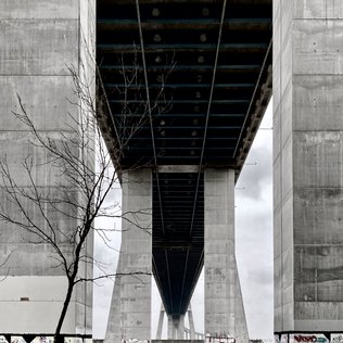 Ponte Vasco da Gama